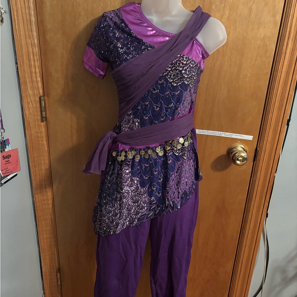 Algy Hindu Style Purple Costume